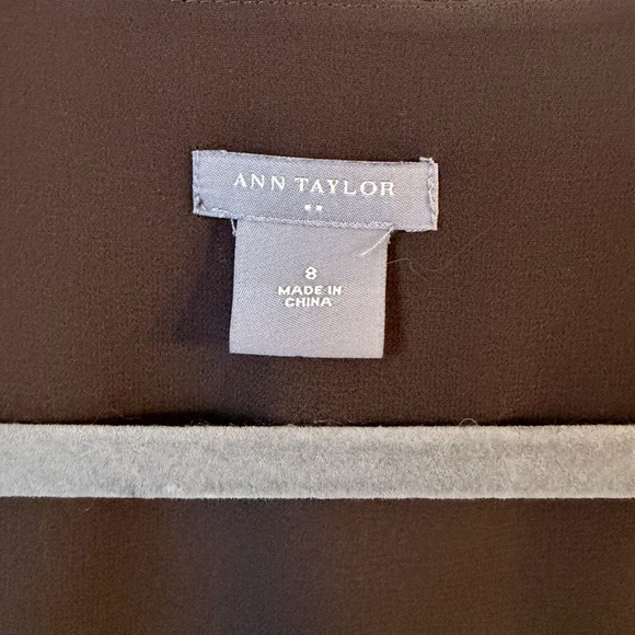Ann Taylor Brown Tank with Sheer underlay sz 8 - Picture 2 of 6